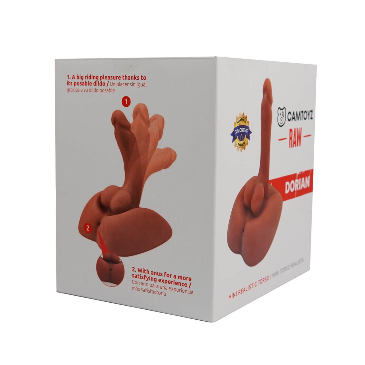 MINI TORSO DORIAN RAW CAMTOYS - Image 3